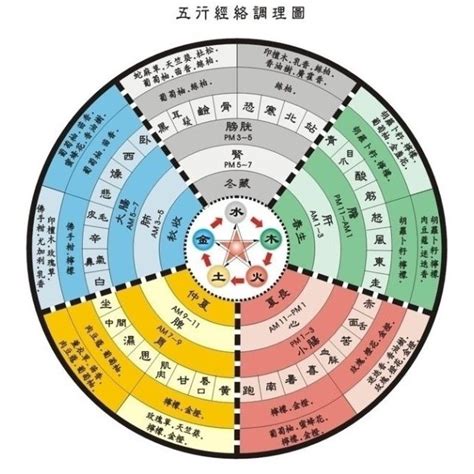 五術入門|五术（仙、医、命、卜、相的合称）